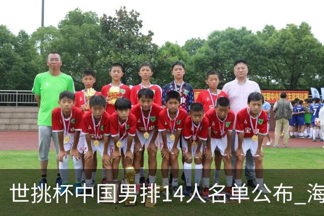 世挑杯中国男排14人名单公布 海宁挂帅江川任队长