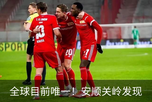 全球目前唯一！安顺关岭发现