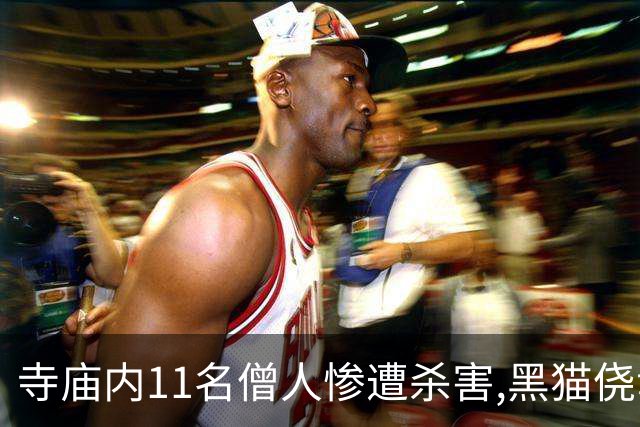 寺庙内11名僧人惨遭杀害,黑猫侥幸存活,警方赶到后它叼来一把钥匙