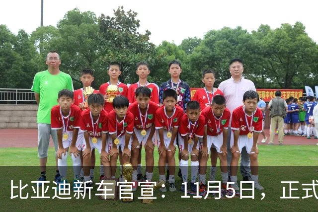 比亚迪新车官宣：11月5日，正式上市！