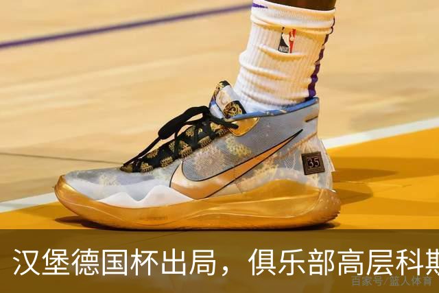 汉堡德国杯出局，俱乐部高层科斯塔：我们被漏判点球