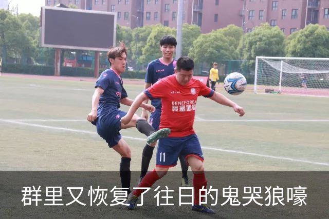 群里又恢复了往日的鬼哭狼嚎