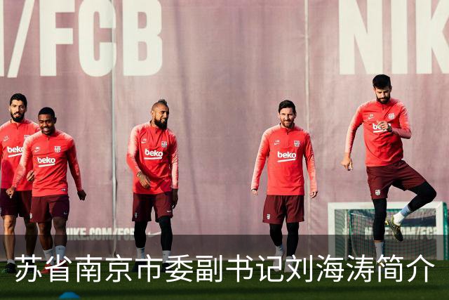 苏省南京市委副书记刘海涛简介