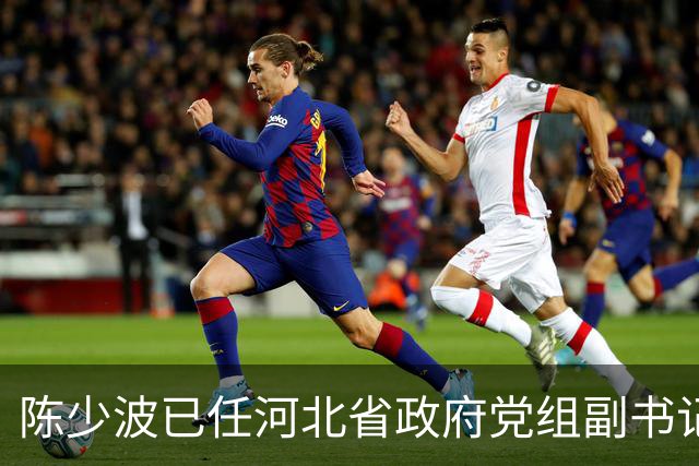陈少波已任河北省政府党组副书记