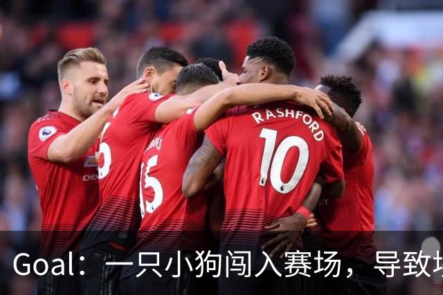 Goal：一只小狗闯入赛场，导致埃及联赛中断